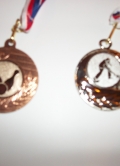 Medaile z Rokycan 2012